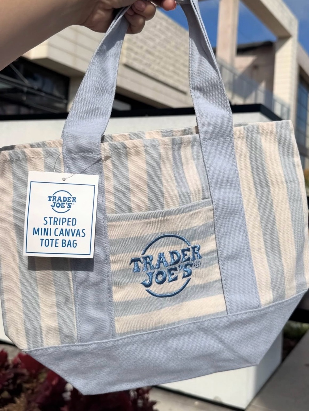 Trader Joe’s Blue Striped Canvas Tote Bag